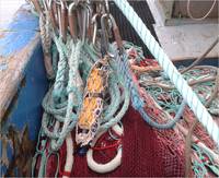 SP2T fishery