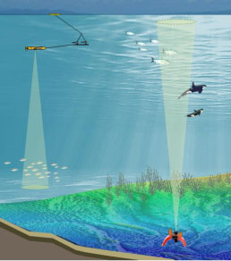 product-dtx-sub-autonomous-echosounder-basics